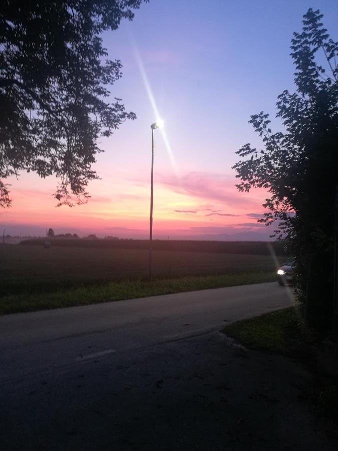 Borgo Dei Conti Della Torre Casa de hóspedes Morsano al Tagliamento Exterior foto
