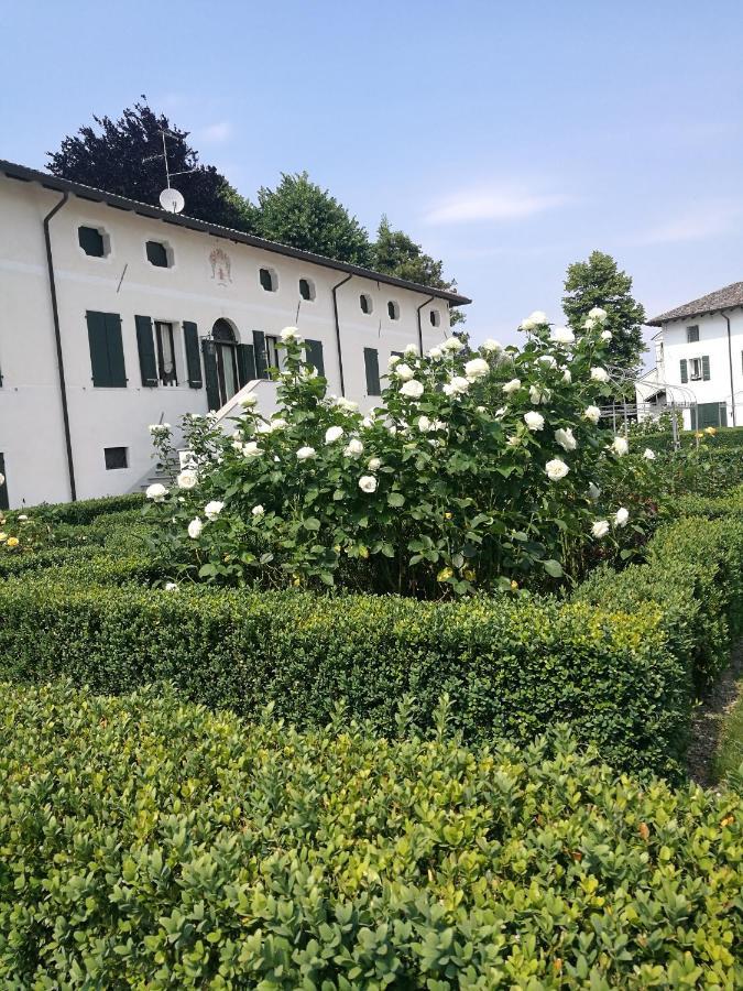 Borgo Dei Conti Della Torre Casa de hóspedes Morsano al Tagliamento Exterior foto